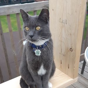 Meet your Posher, Tyler